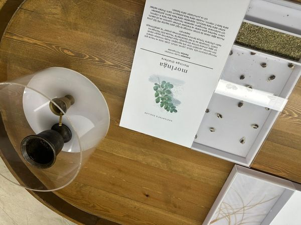 Rayiha Baharat Müzesi