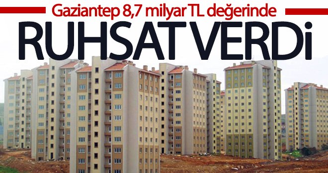 2020 yılında daha fazla yapı, ruhsat aldı