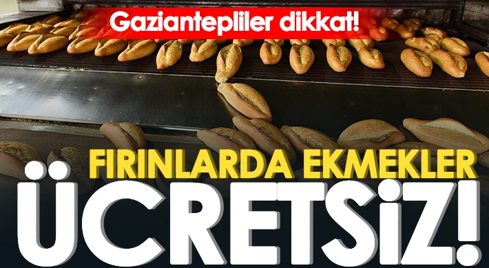 Fırınlarda ekmekler ücretsiz! AFAD karşılayacak...