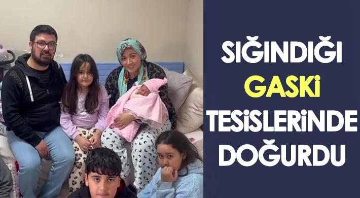 Sığındığı GASKİ tesislerinde doğurdu
