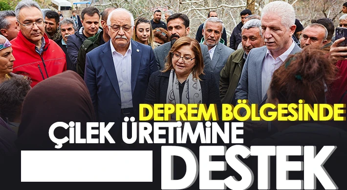 Gaziantep Büyükşehir, çiftçilere çilek üretimi için destek verecek