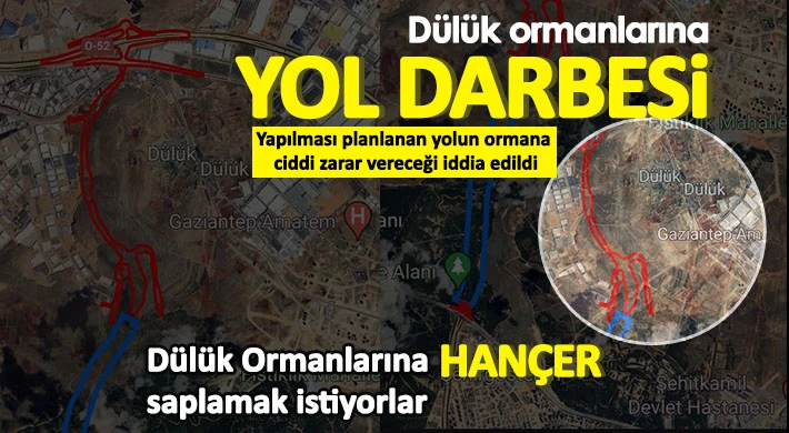 Dülük ormanlarına yol darbesi! Binlerce ağaç kesilecek...