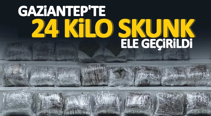 Gaziantep'te 24 kilo skunk ele geçirildi