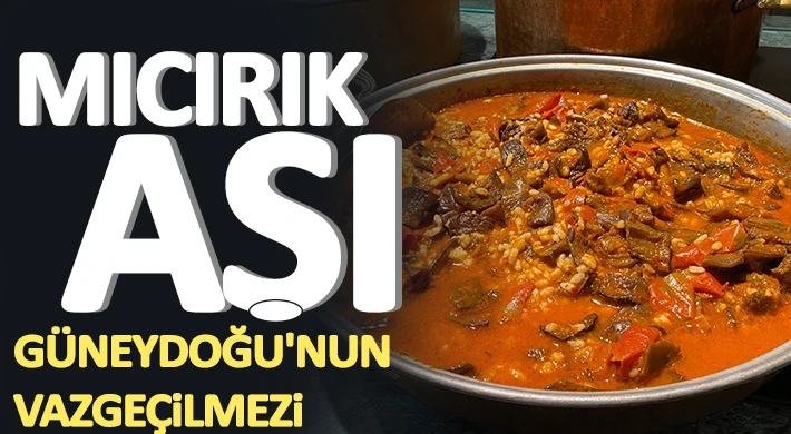 Güneydoğu'nun vazgeçilmez lezzeti: Mıcırık aşı