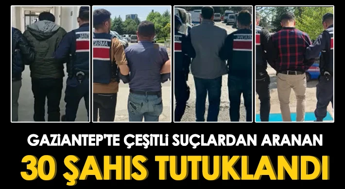 Jandarma ekipleri aranan şüphelileri yakaladı