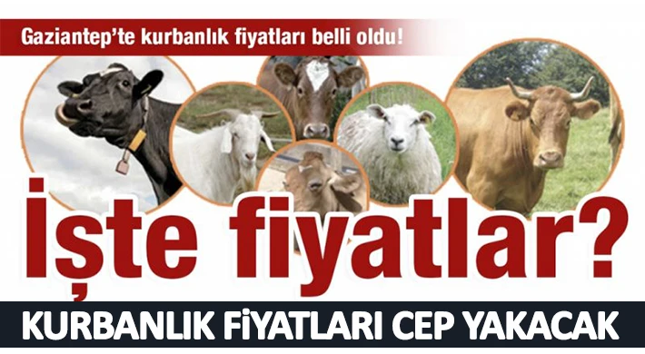 Kırmızı Et Üreticileri Birliği fiyatları açıkladı