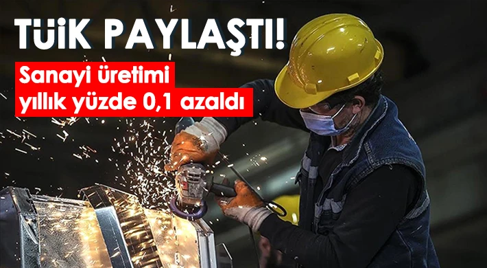 Sanayi üretimi yıllık yüzde 0,1 azaldı