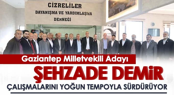 Şehzade Demir çalışmalarını yoğun tempoyla sürdürüyor