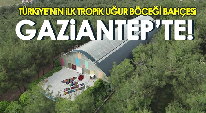Türkiye’nin ilk Tropik Uğur Böceği Bahçesi Gaziantep’te