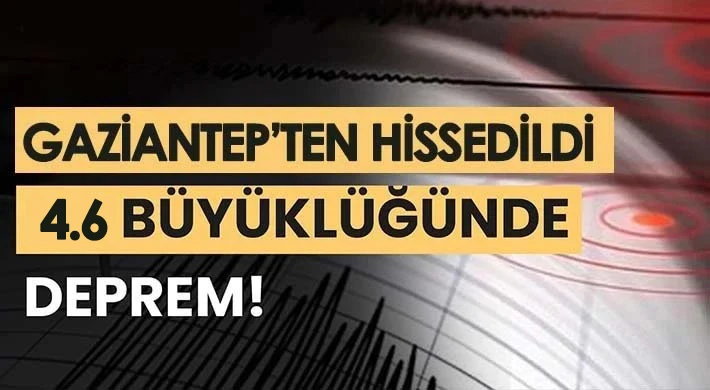 Yine sallandık! 4.6 şiddetinde korkutan deprem...