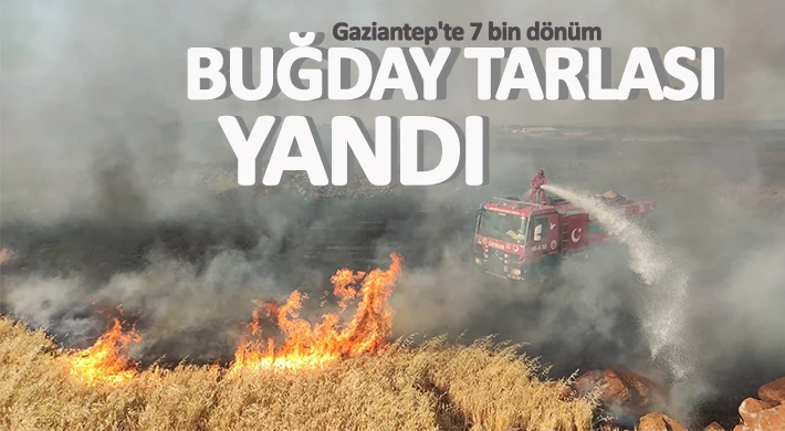 Buğday tarlasındaki yangın 3 saattir söndürülemiyor