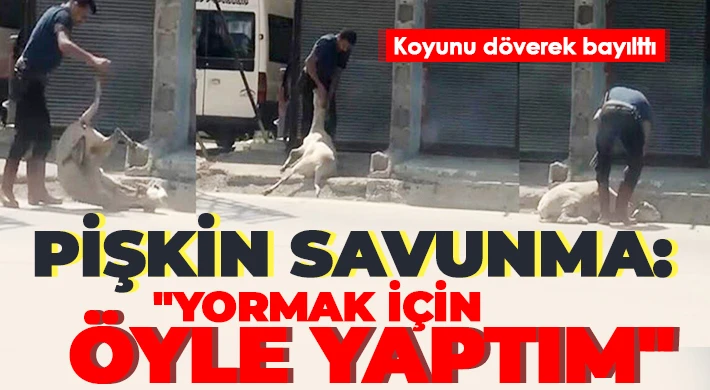 Polis, cinayet zanlısı arar gibi koyunu döven kasabı aradı