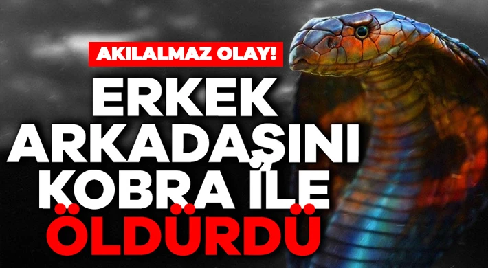 Akılalmaz olay! Erkek arkadaşını zehirli kobra ile öldürdü