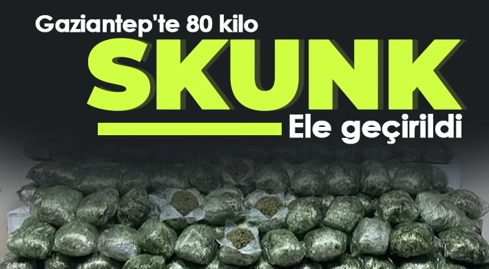 Gaziantep'te 80 kilo skunk ele geçirildi