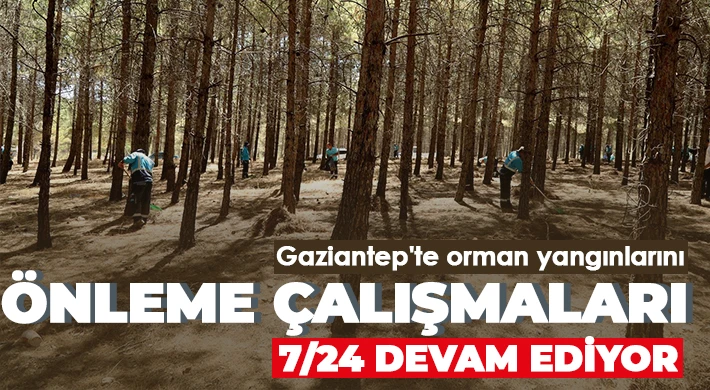 Gaziantep'te orman yangınlarını önleme çalışmaları 7/24 devam ediyor