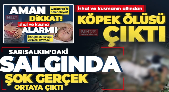 Su kuyusundaki köpek ölüsü ortalığı karıştırdı