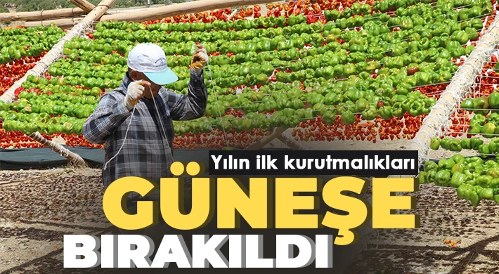 Yılın ilk kurutmalıkları güneşe bırakıldı