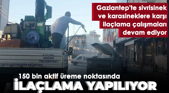 150 bin aktif üreme noktasında ilaçlama yapılıyor