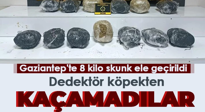 Dedektör köpekten kaçamadılar