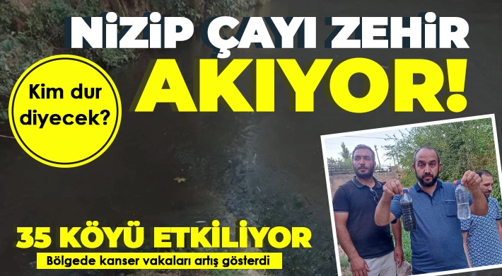 Nizip çayı zehir akıyor...