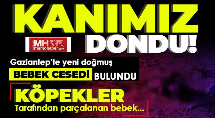 Vicdanları sızlatan olay: Köpekler tarafından parçalanmış bebek cesedi bulundu