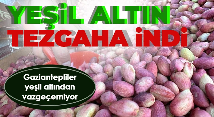 Yeşil altın’ olarak bilinen Antep fıstığı, tezgahlardaki yerini aldı