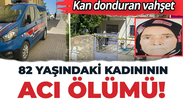 Cinayet zanlısı olarak 89 yaşındaki Alzheimer hastası koca gözaltına alındı