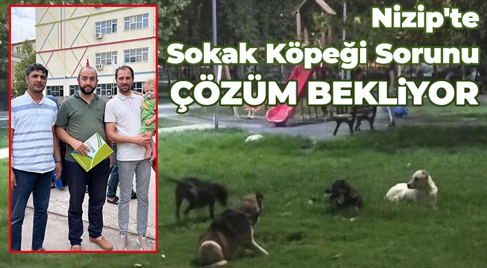 Nizip'te sokak köpeği sorunu çözüm bekliyor
