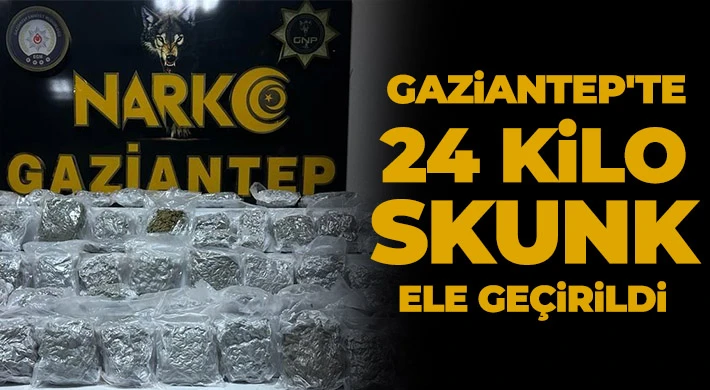 Gaziantep'te 24 kilo skunk ele geçirildi