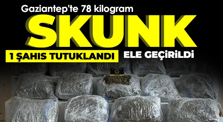 Gaziantep'te 78 kilogram skunk ele geçirildi: 1 şahıs tutuklandı
