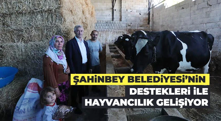 Şahinbey Belediyesi’nin destekleri ile hayvancılık gelişiyor