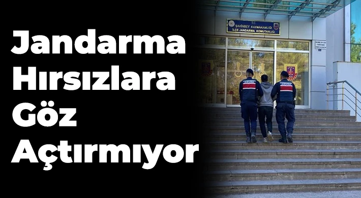 Gaziantep Jandarma hırsızlara göz açtırmıyor