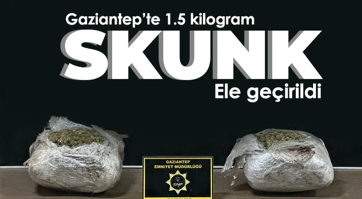 Gaziantep’te 1.5 kilogram skunk ele geçirildi