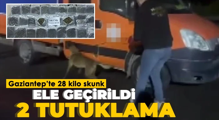 Gaziantep’te 28 kilo skunk ele geçirildi: 2 tutuklama