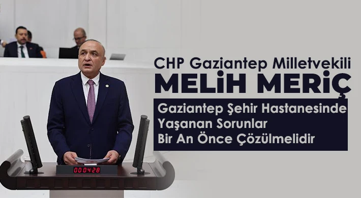 Meriç, sağlıkta yaşanan sorunları meclise taşıdı