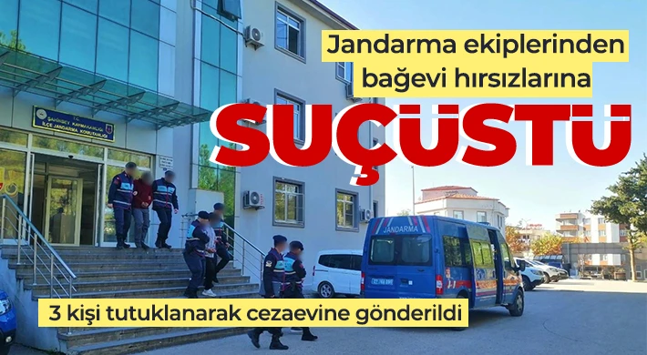 Jandarma ekiplerinden bağevi hırsızlarına suçüstü