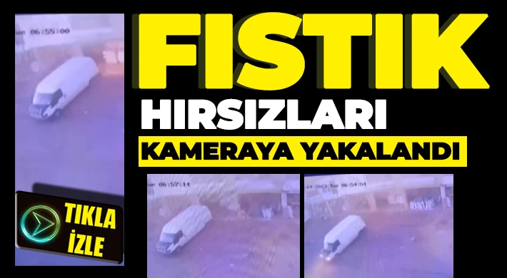 Nizip’te hırsızlık anı kameralara yansıdı