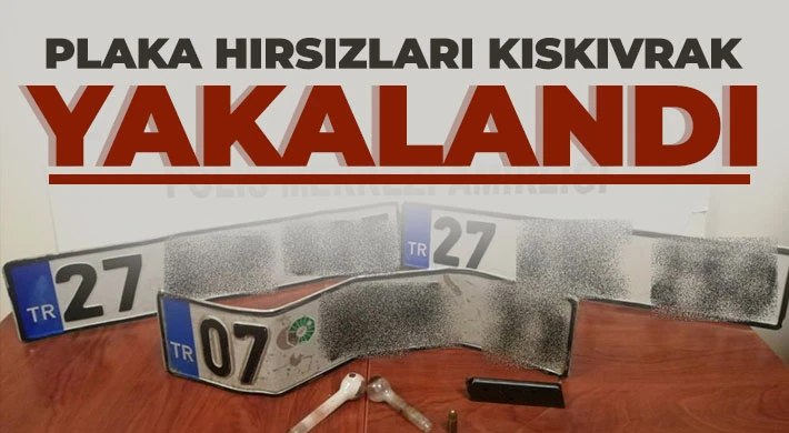 Plaka hırsızları kıskıvrak yakalandı