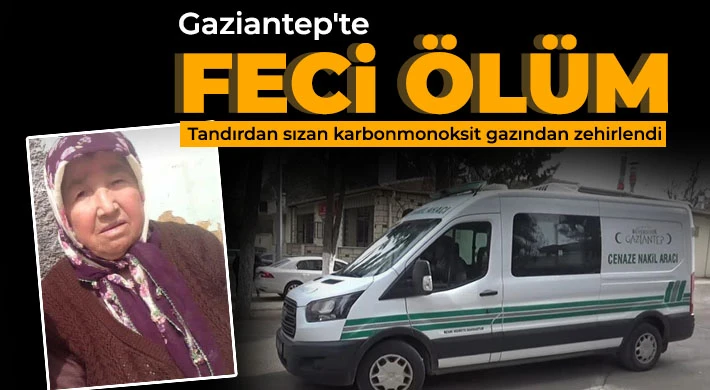 Tandırdan sızan karbonmonoksit gazından zehirlendi
