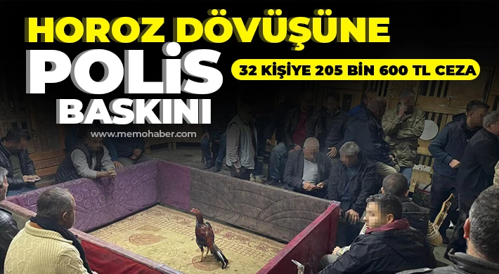 Horoz dövüşüne polis baskını