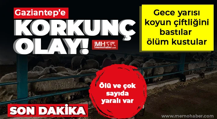 Gaziantep'te vahşet! Koyun çiftliği kan gölüne döndü!