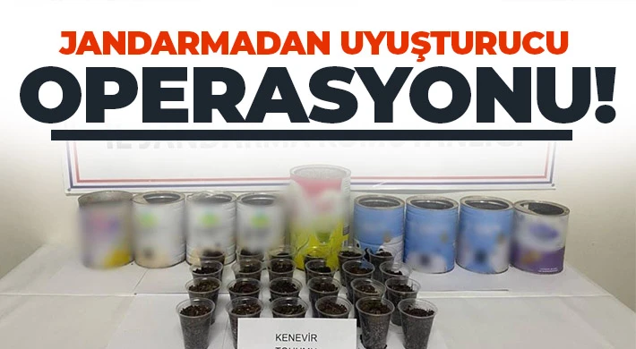 Jandarmadan uyuşturucu operasyonu