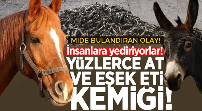 Sulama kanalında at ve eşek eti kalıntıları bulundu