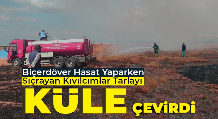 Biçerdöver hasat yaparken sıçrayan kıvılcımlar tarlayı küle çevirdi