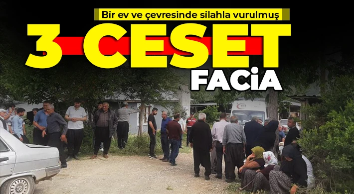 Facia bir ev ve çevresinde silahla vurulmuş 3 ceset bulundu