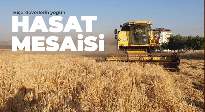 Gaziantep'te arpa ve buğday hasadı başladı