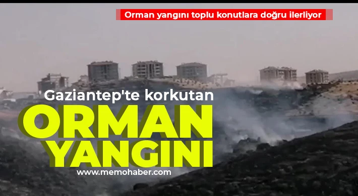 Gaziantep'te korkutan orman yangını