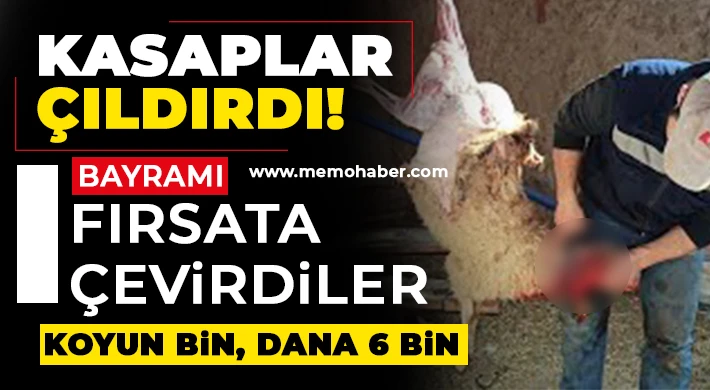 Kasaplar çıldırdı! Bayrama fırsata çevirdiler