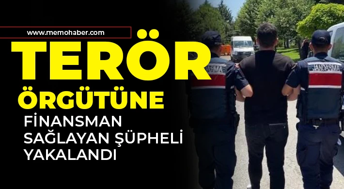 Terör örgütüne finansman sağlayan şüpheli yakalandı