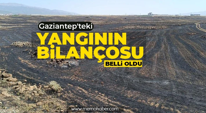 Yangın 15 bin dönüm alanı etkiledi, 250 araç ve 600 personel ile müdahale edildi